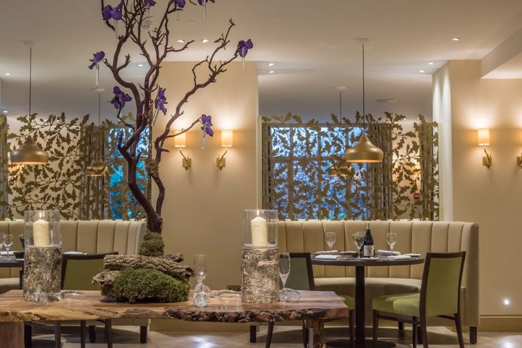 Cambium fine dining interior